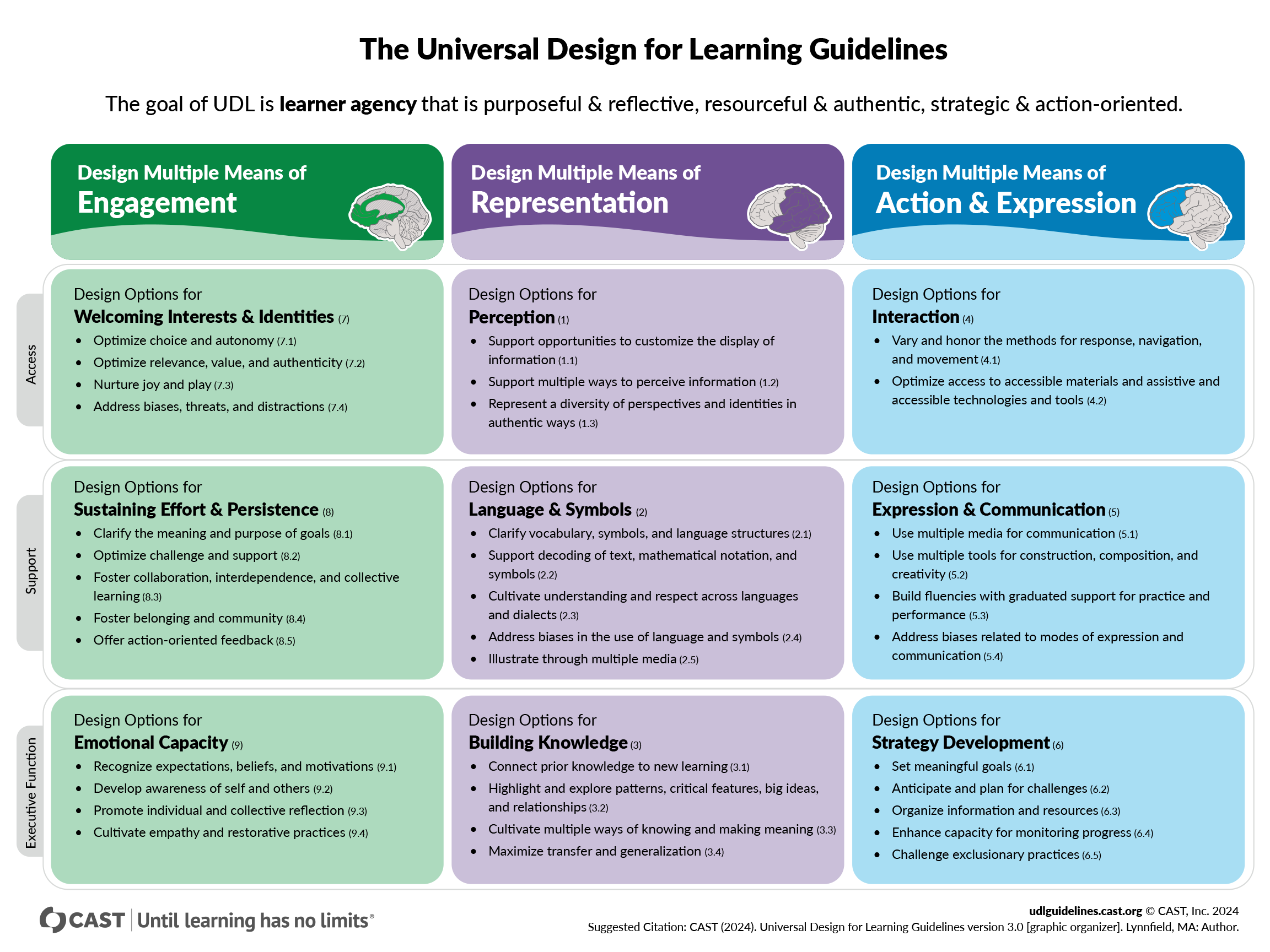 CAST-udl-graphic-organiser