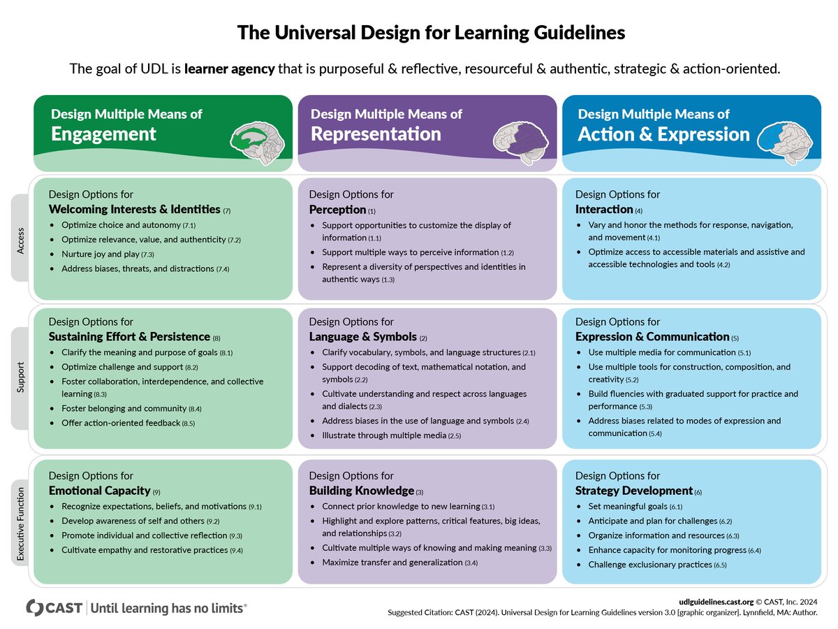 CAST-udl-graphic-organiser